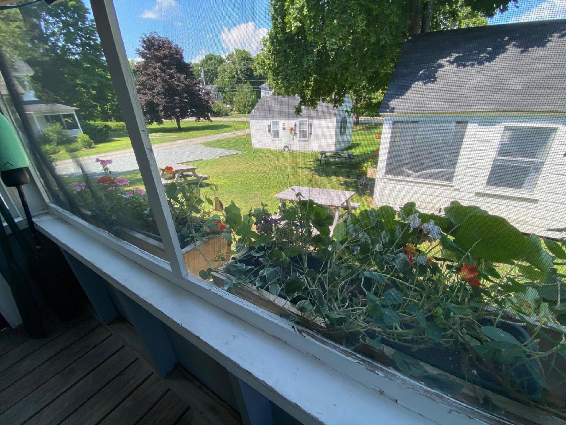 Bar Harbor Cottages & Suites Экстерьер фото